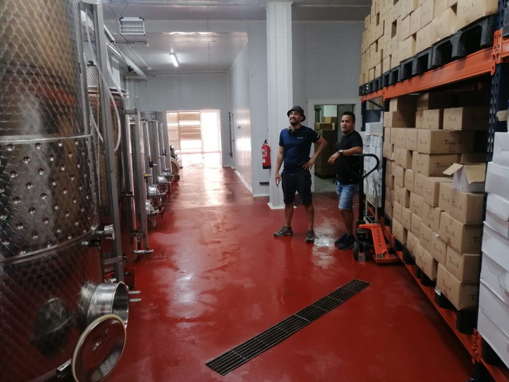 Bodegas